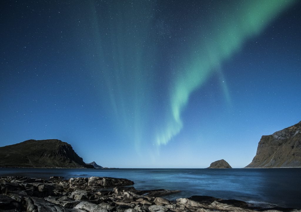 5 ways to thrive in 2019