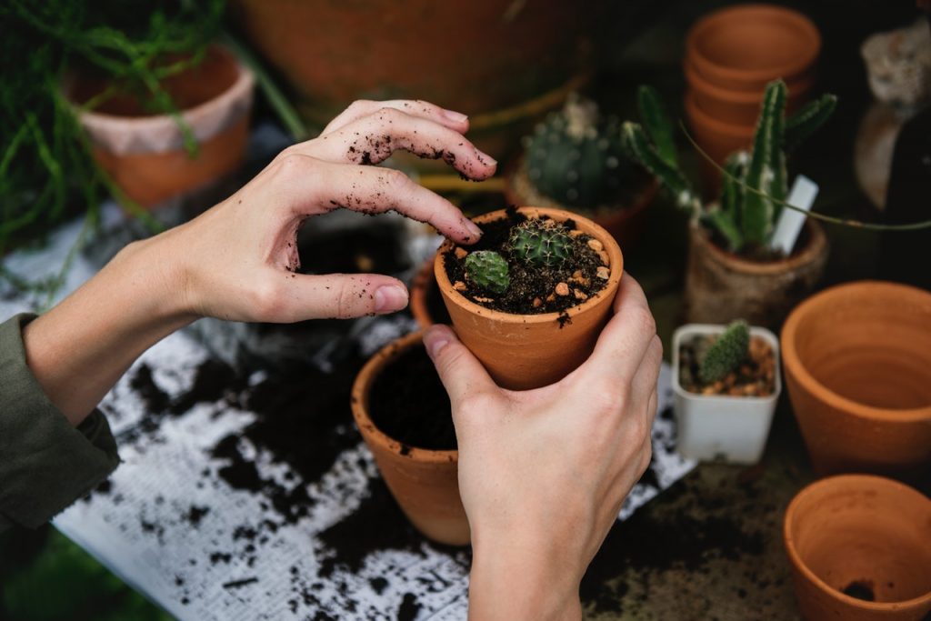 Having a hobby comes with numerous benefits