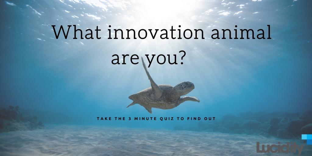what's your innovation animal